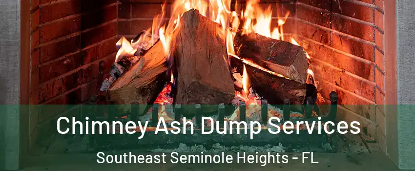 Chimney Ash Dump Services Southeast Seminole Heights - FL