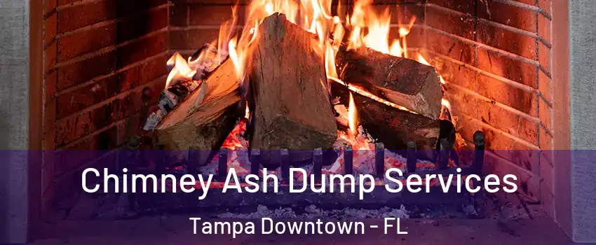 Chimney Ash Dump Services Tampa Downtown - FL