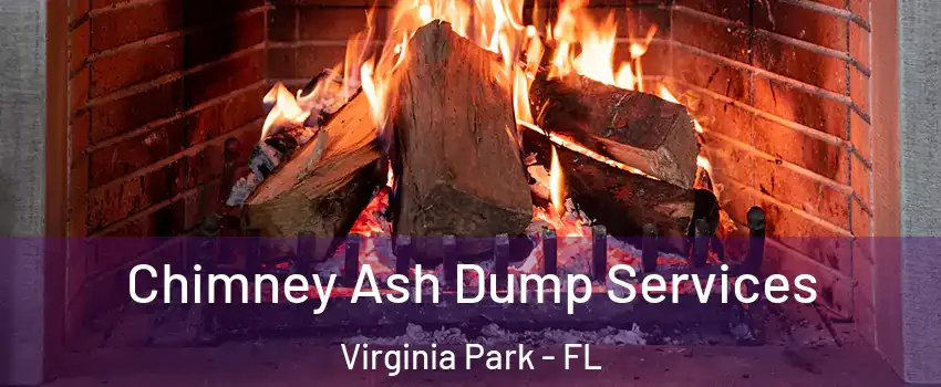 Chimney Ash Dump Services Virginia Park - FL