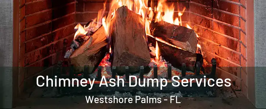 Chimney Ash Dump Services Westshore Palms - FL