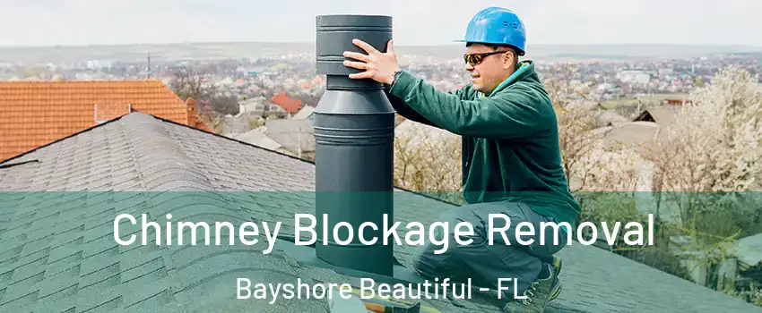 Chimney Blockage Removal Bayshore Beautiful - FL