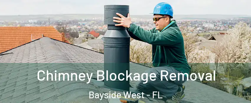 Chimney Blockage Removal Bayside West - FL