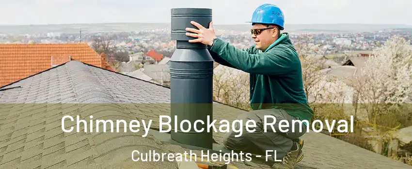 Chimney Blockage Removal Culbreath Heights - FL