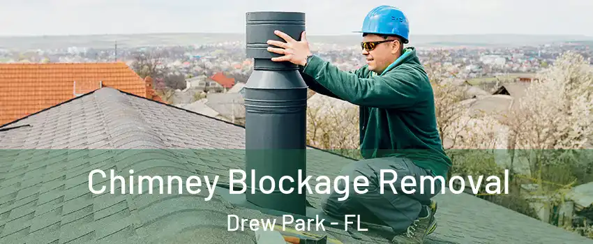 Chimney Blockage Removal Drew Park - FL