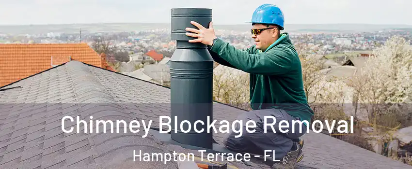 Chimney Blockage Removal Hampton Terrace - FL