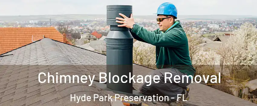 Chimney Blockage Removal Hyde Park Preservation - FL