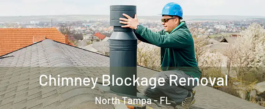 Chimney Blockage Removal North Tampa - FL