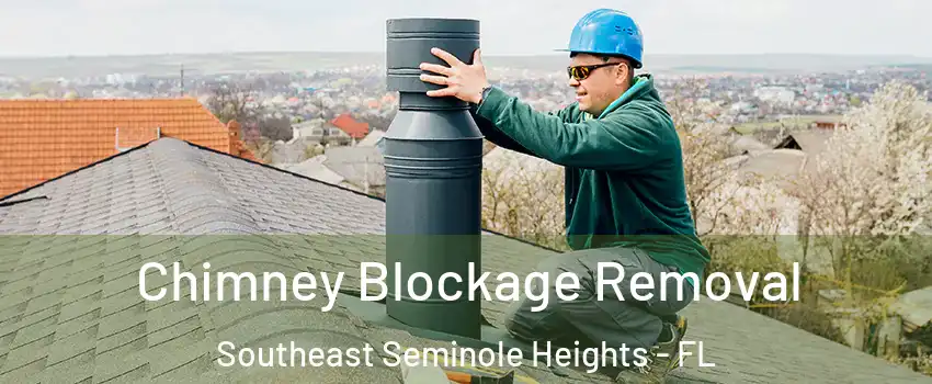 Chimney Blockage Removal Southeast Seminole Heights - FL