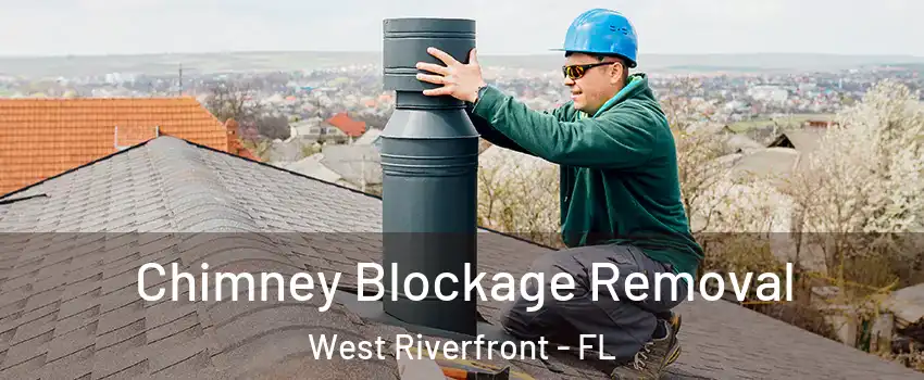 Chimney Blockage Removal West Riverfront - FL