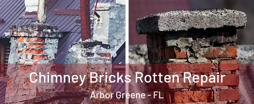 Chimney Bricks Rotten Repair Arbor Greene - FL