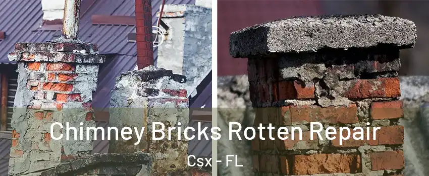 Chimney Bricks Rotten Repair Csx - FL