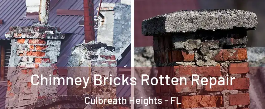 Chimney Bricks Rotten Repair Culbreath Heights - FL