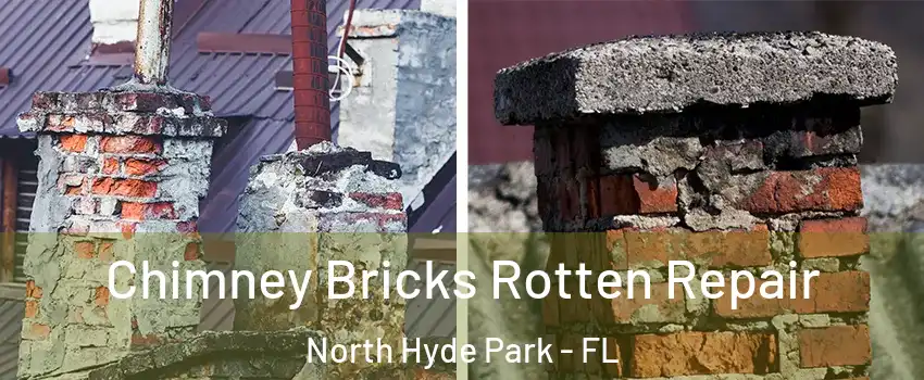 Chimney Bricks Rotten Repair North Hyde Park - FL