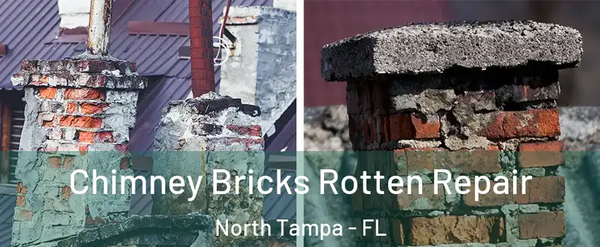 Chimney Bricks Rotten Repair North Tampa - FL