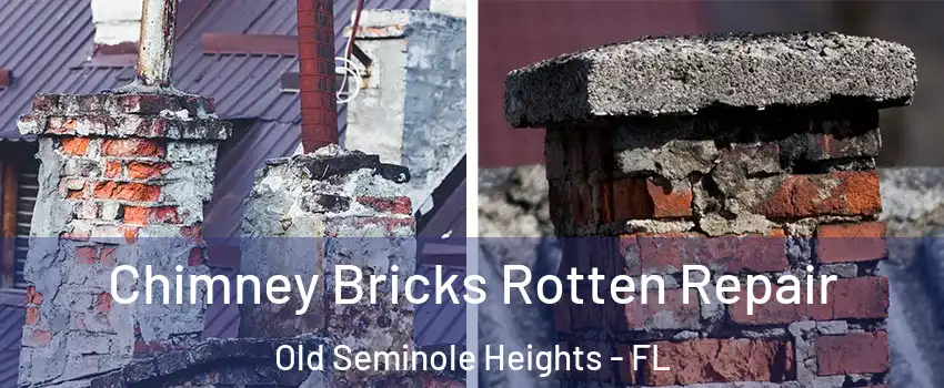 Chimney Bricks Rotten Repair Old Seminole Heights - FL