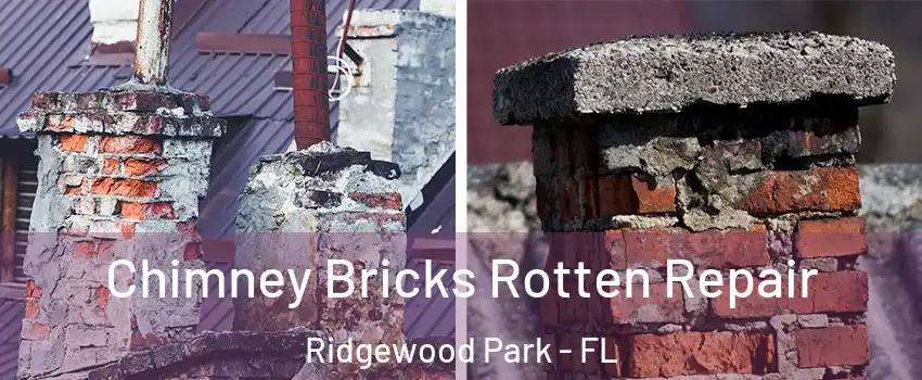 Chimney Bricks Rotten Repair Ridgewood Park - FL