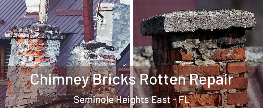 Chimney Bricks Rotten Repair Seminole Heights East - FL