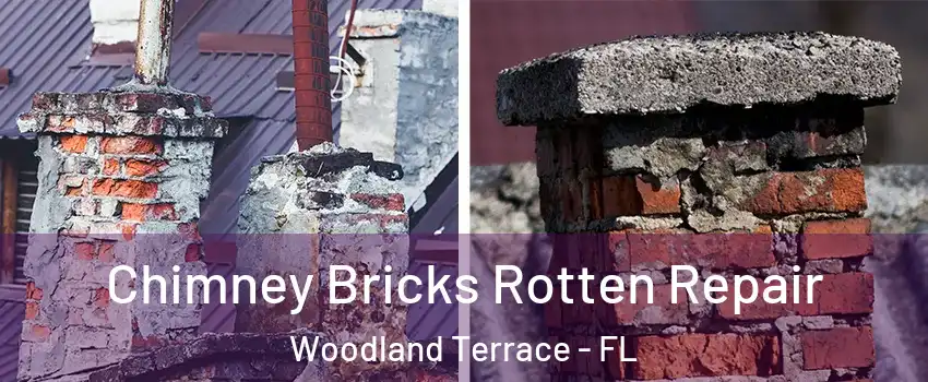 Chimney Bricks Rotten Repair Woodland Terrace - FL