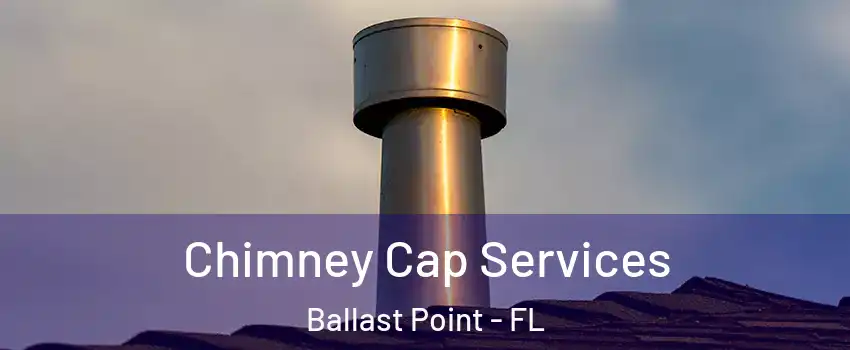 Chimney Cap Services Ballast Point - FL