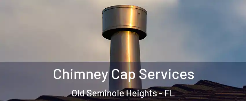 Chimney Cap Services Old Seminole Heights - FL