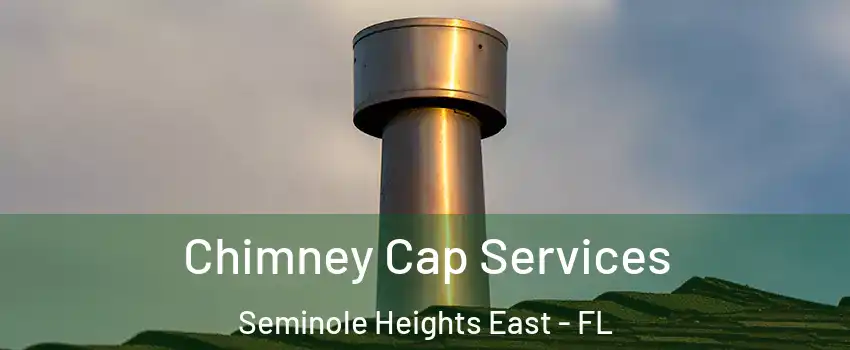 Chimney Cap Services Seminole Heights East - FL