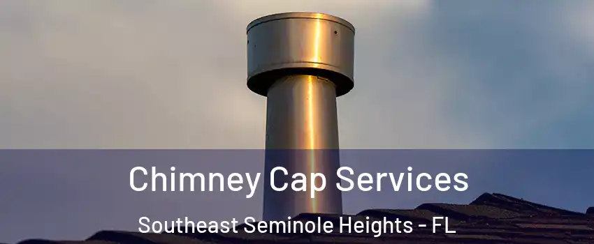 Chimney Cap Services Southeast Seminole Heights - FL