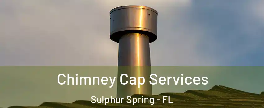 Chimney Cap Services Sulphur Spring - FL