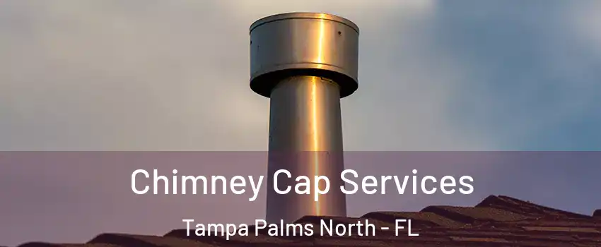 Chimney Cap Services Tampa Palms North - FL