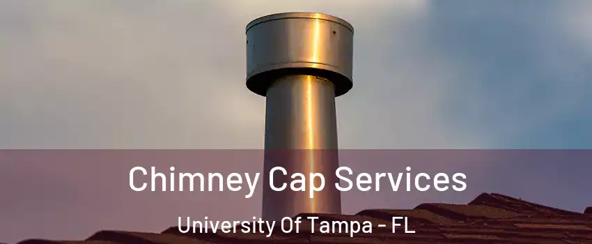 Chimney Cap Services University Of Tampa - FL