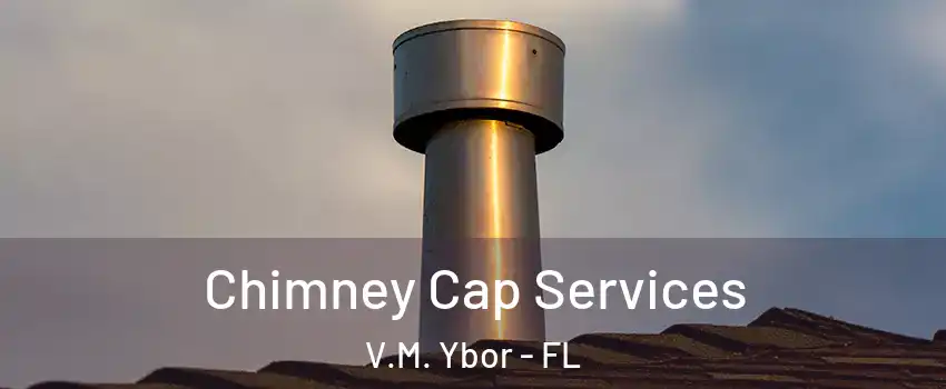 Chimney Cap Services V.M. Ybor - FL