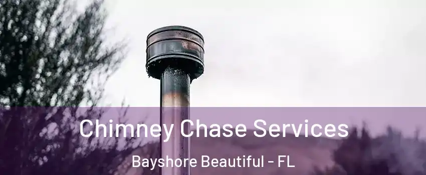 Chimney Chase Services Bayshore Beautiful - FL