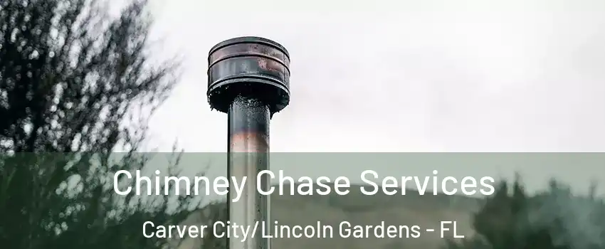 Chimney Chase Services Carver City/Lincoln Gardens - FL