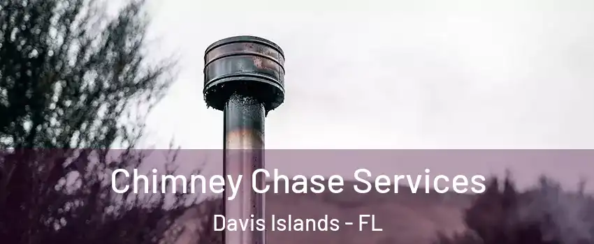 Chimney Chase Services Davis Islands - FL