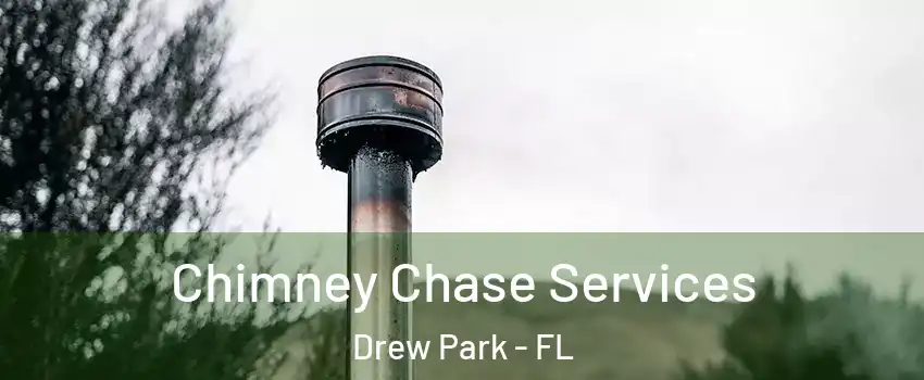 Chimney Chase Services Drew Park - FL