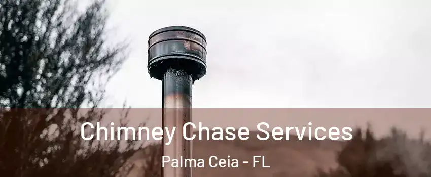 Chimney Chase Services Palma Ceia - FL