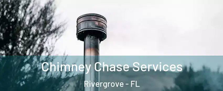 Chimney Chase Services Rivergrove - FL