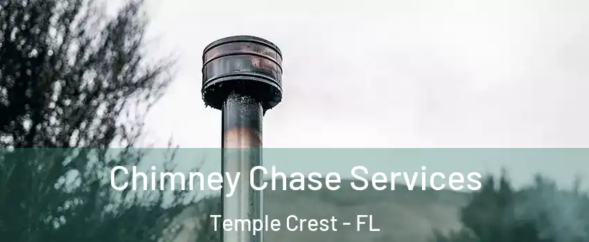 Chimney Chase Services Temple Crest - FL