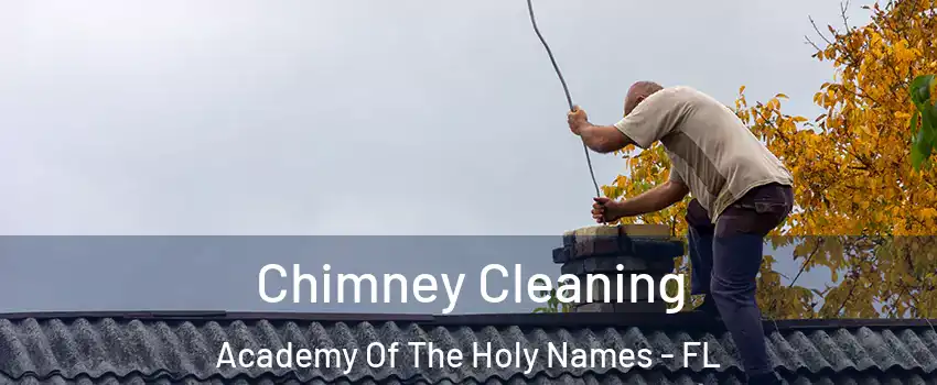 Chimney Cleaning Academy Of The Holy Names - FL