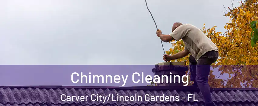 Chimney Cleaning Carver City/Lincoln Gardens - FL