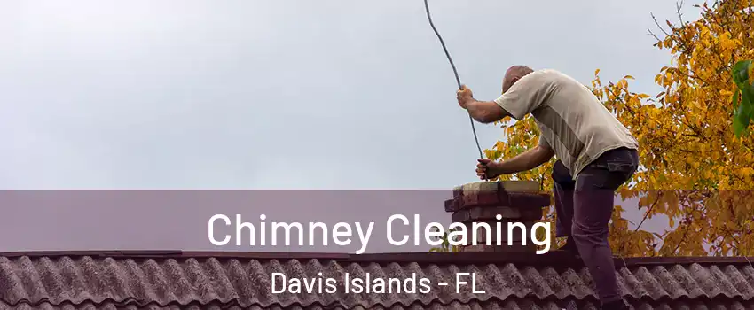 Chimney Cleaning Davis Islands - FL