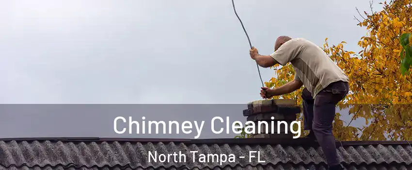 Chimney Cleaning North Tampa - FL