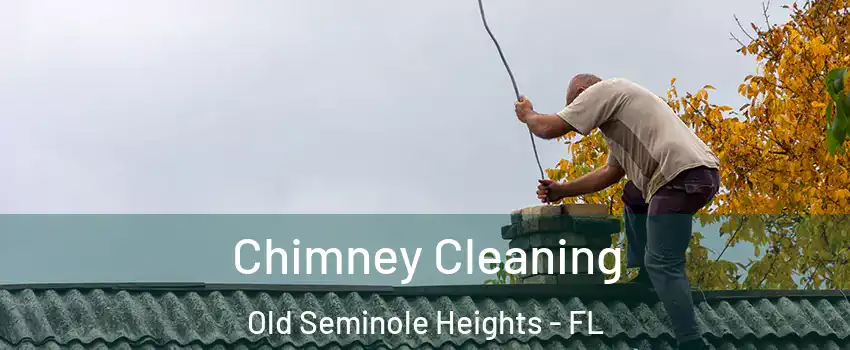 Chimney Cleaning Old Seminole Heights - FL