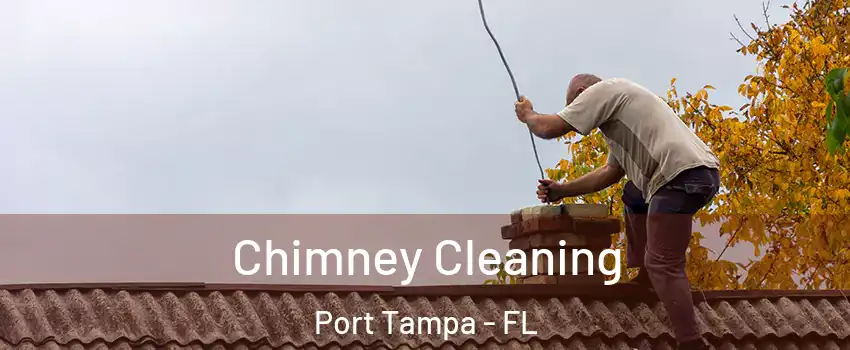 Chimney Cleaning Port Tampa - FL