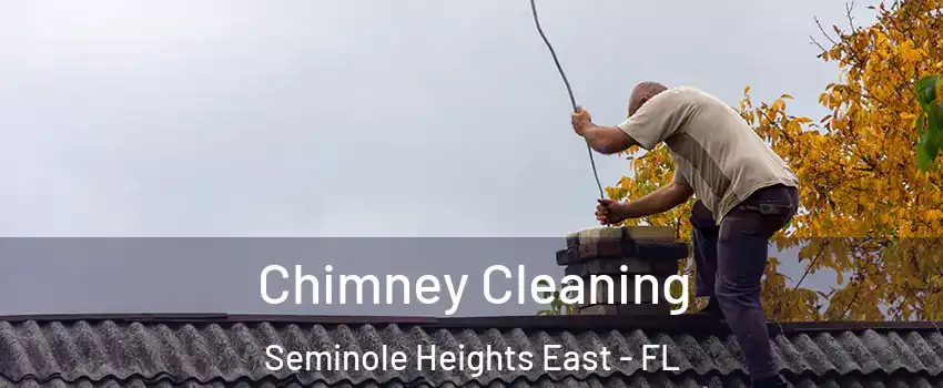 Chimney Cleaning Seminole Heights East - FL