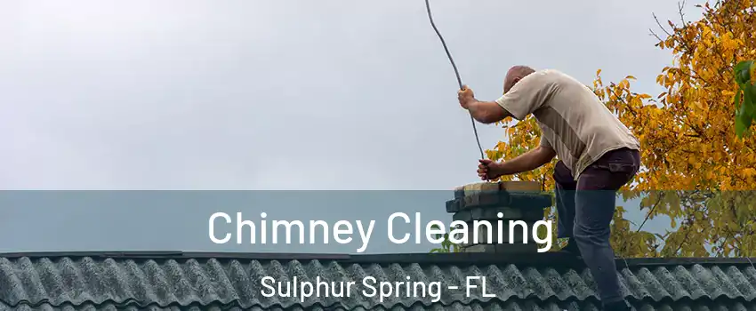 Chimney Cleaning Sulphur Spring - FL