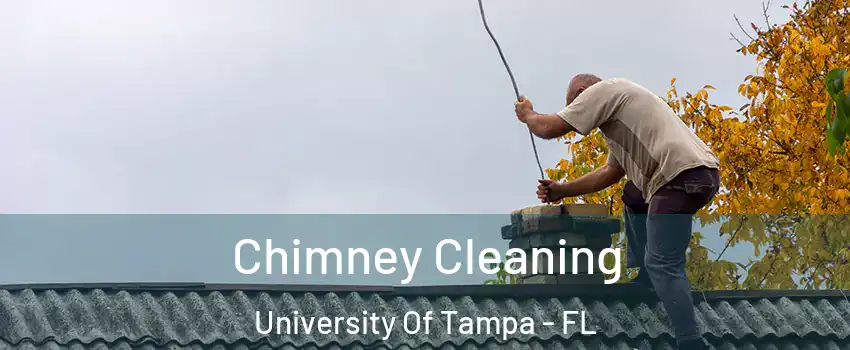 Chimney Cleaning University Of Tampa - FL