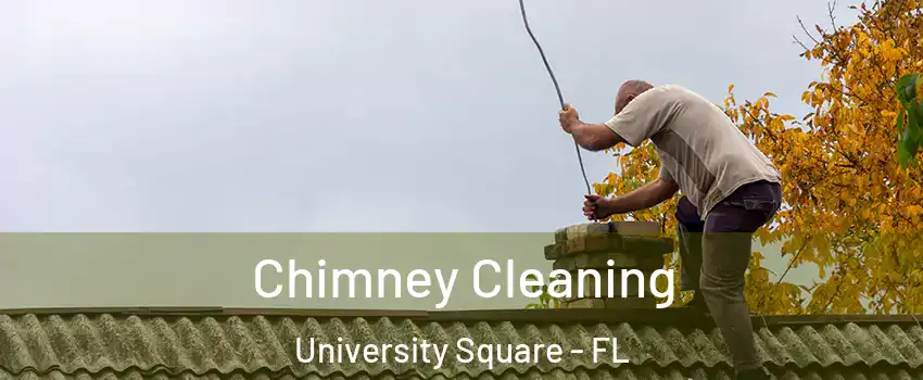 Chimney Cleaning University Square - FL