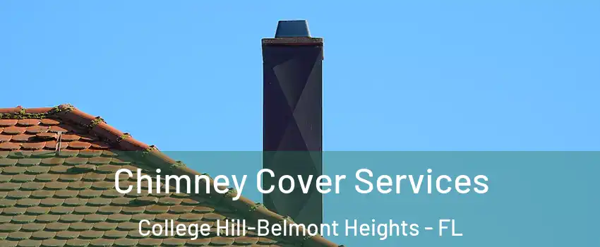 Chimney Cover Services College Hill-Belmont Heights - FL