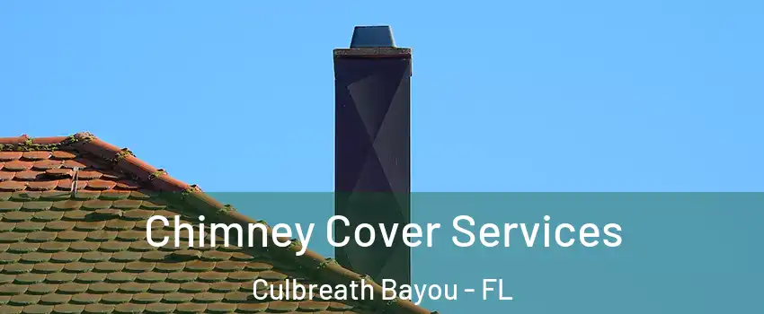 Chimney Cover Services Culbreath Bayou - FL