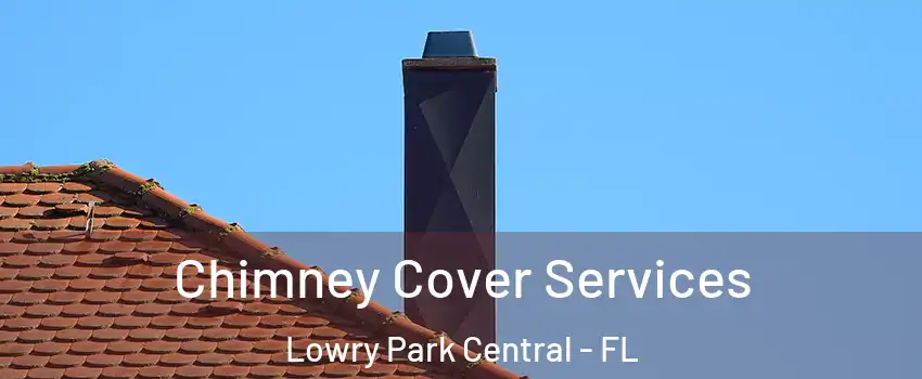 Chimney Cover Services Lowry Park Central - FL